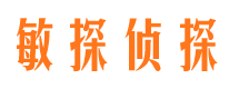 清流市侦探公司